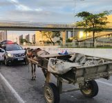 carroceiro-e-preso-com-tv,-bebidas-e-carnes-furtadas-de-estabelecimento-em-natal